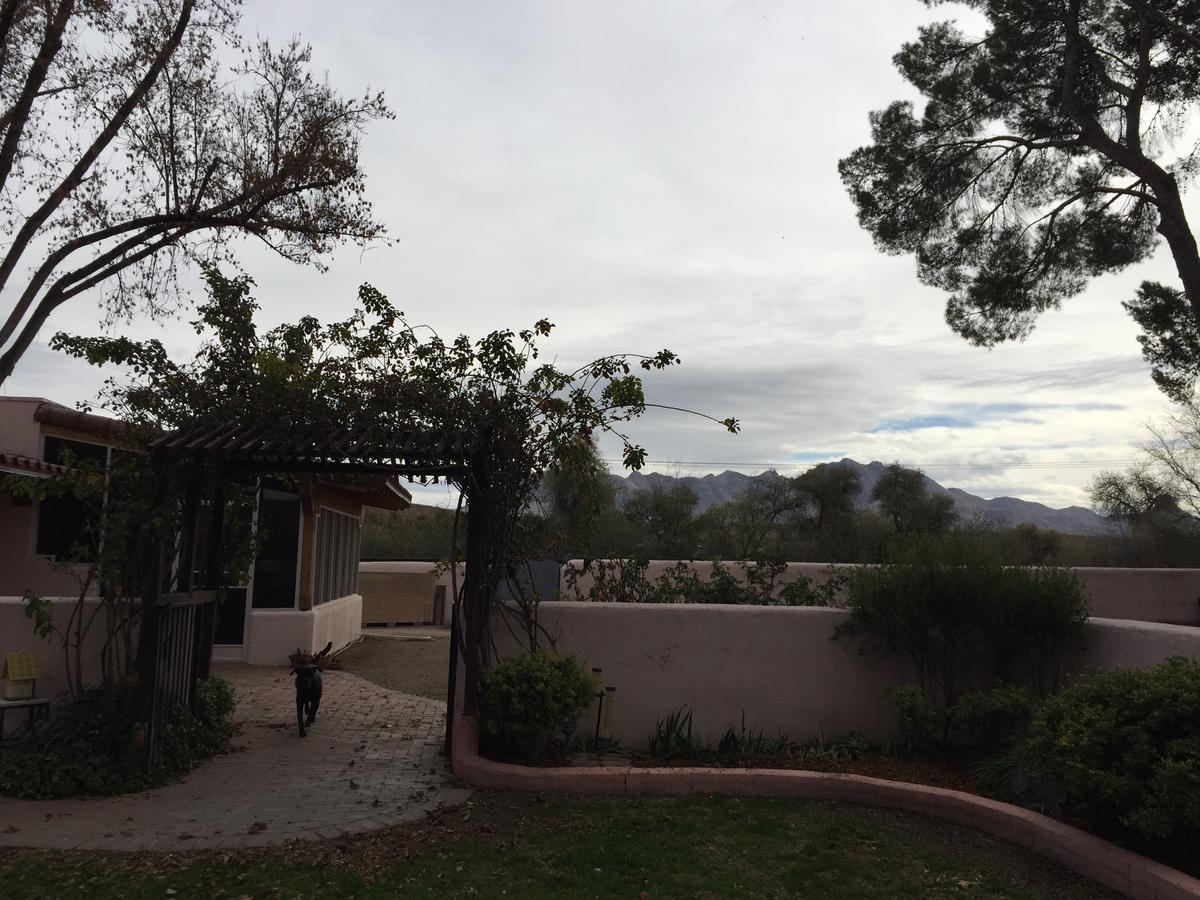Casa Paloma B&B Tubac Dış mekan fotoğraf